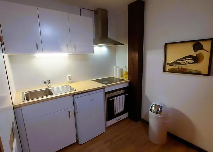 Haus Seidelbast Apartment *